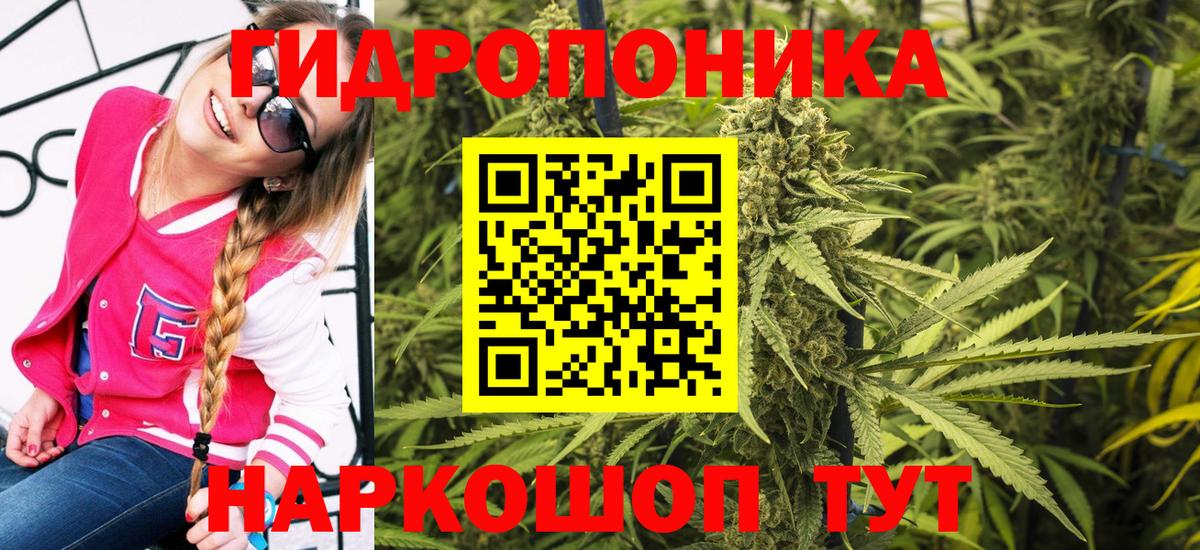 Канабис марихуана  Вход с VPN  Канабис SATIVA & INDICA  Грязи  Бошки марихуана AK-47 